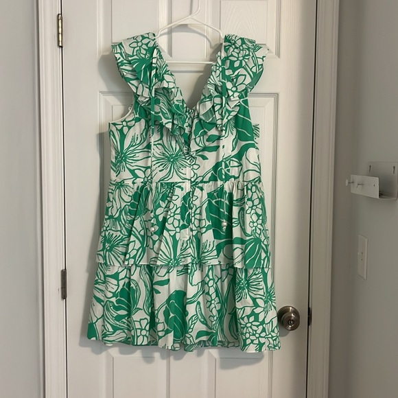 Lilly Pulitzer Dress - Picture 3 of 4